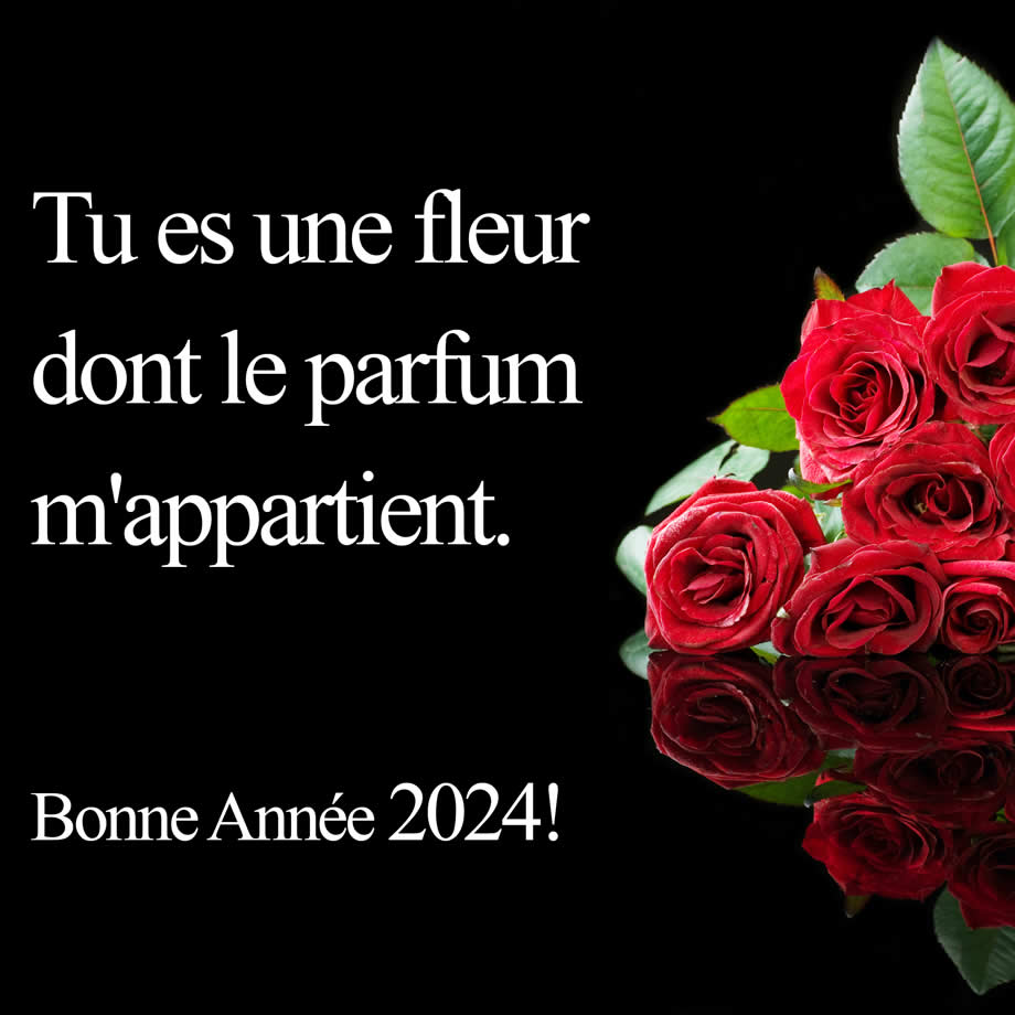 Textes romantique avec un bouquet de roses rouges pour des voeux pour 2024