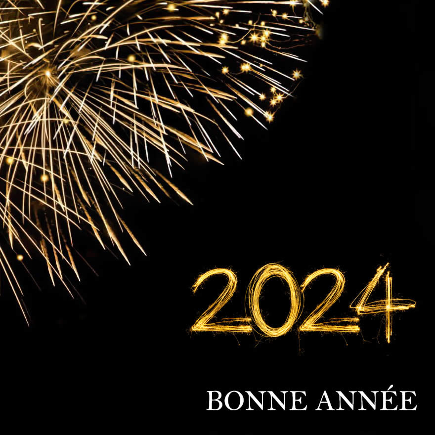 image de feux d'artifice pendant les célébrations de bonne année 2024
